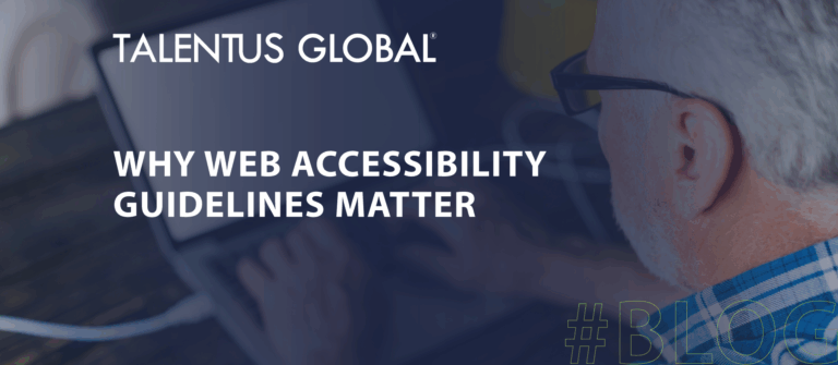 Why Web Accessibility Guidelines Matter